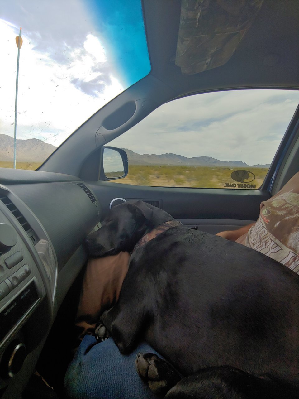 20190415_142910_HDR.jpg