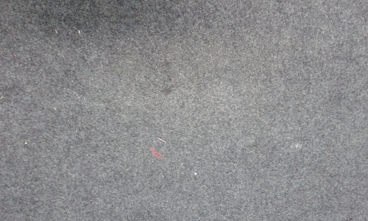 20190415_165122.jpg