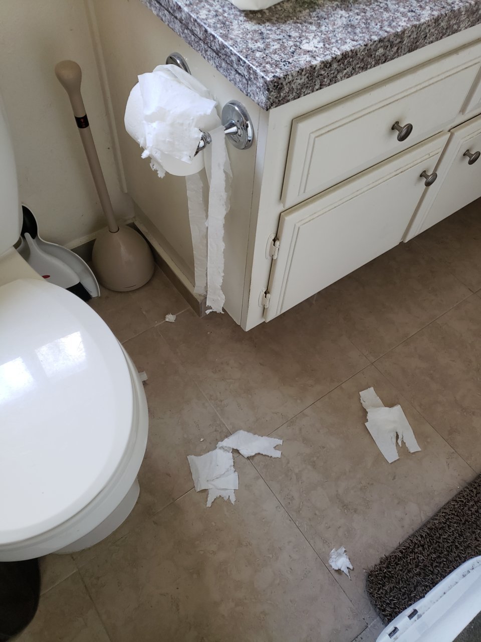 20190416_173038.jpg