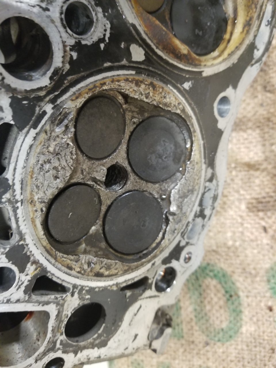 20190416_213453.jpg