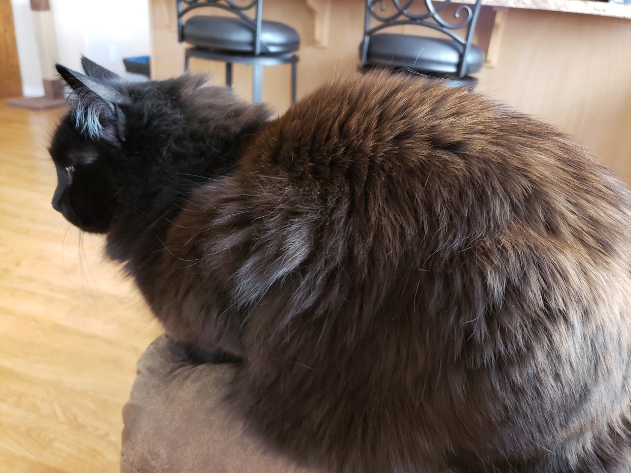 20190417_095341.jpg