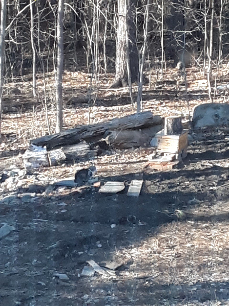 20190417_180555.jpg