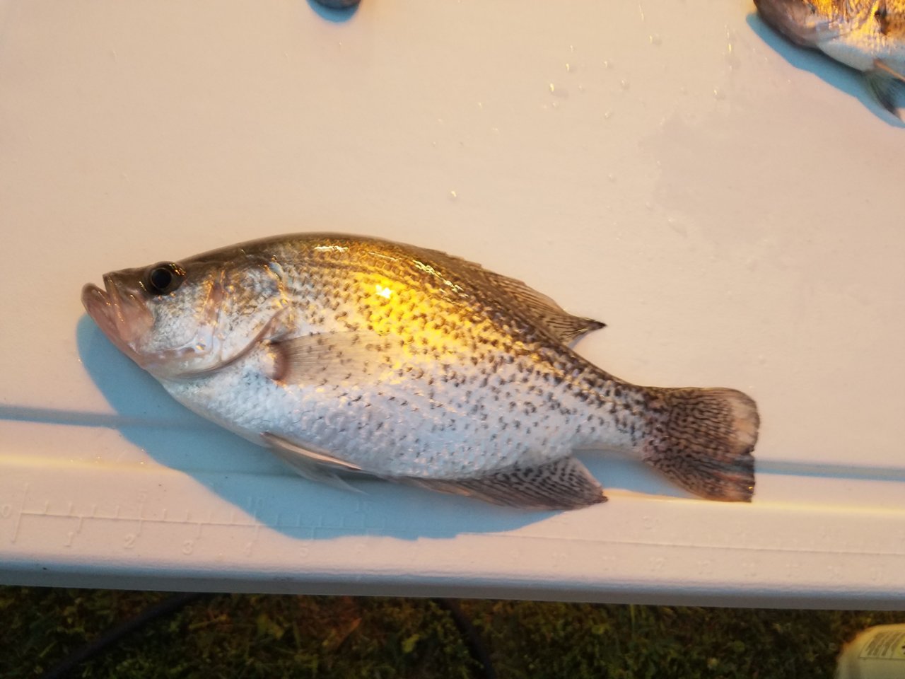 20190417_201538.jpg
