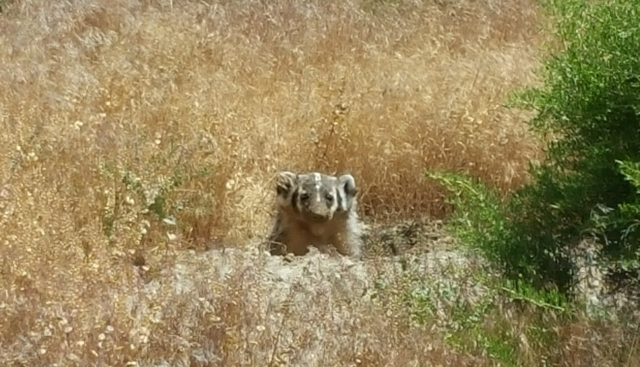 20190417_223012.jpg