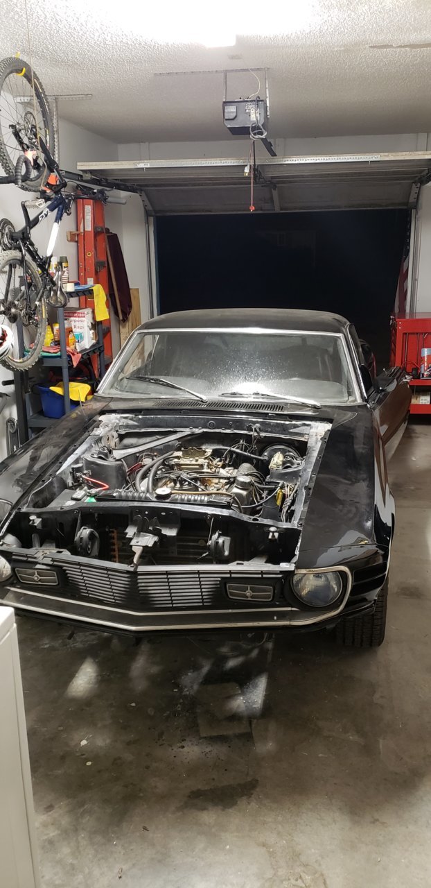 20190417_230541.jpg