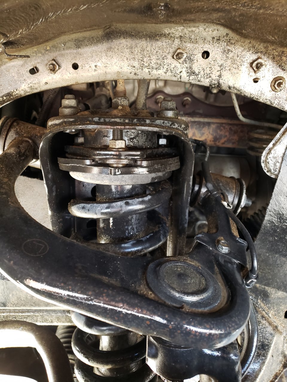 20190418_134707.jpg