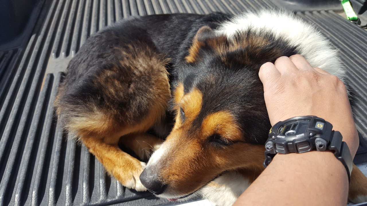 20190418_150726.jpg