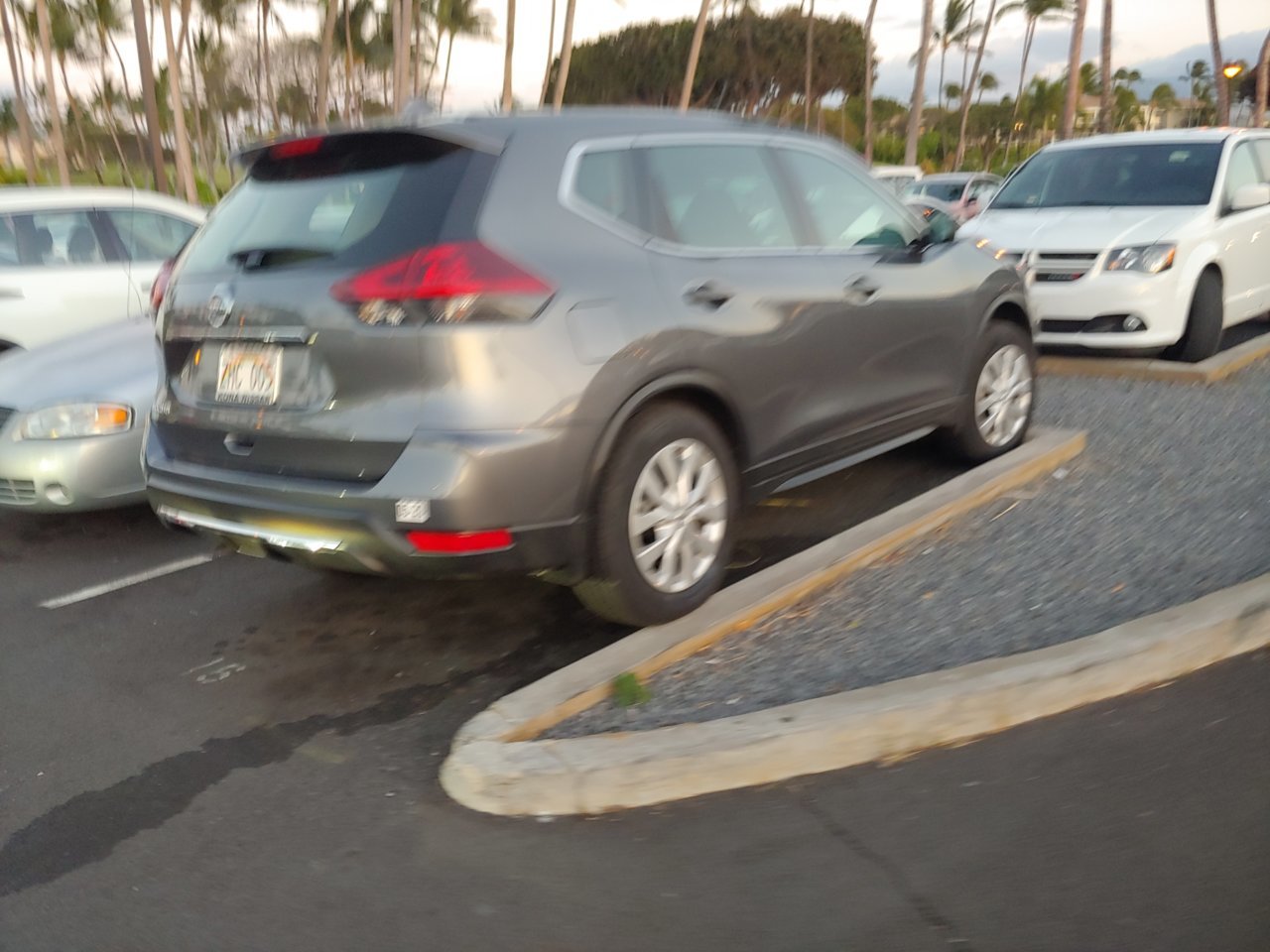 20190418_184358_HDR.jpg