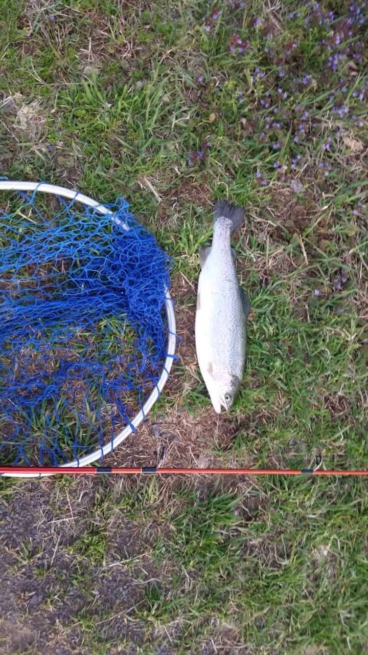 20190418_191335.jpg