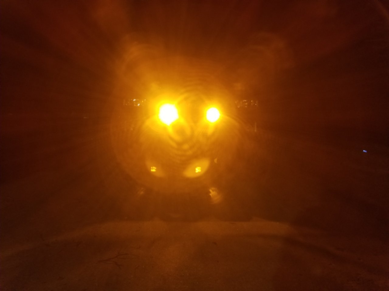 20190418_220320.jpg