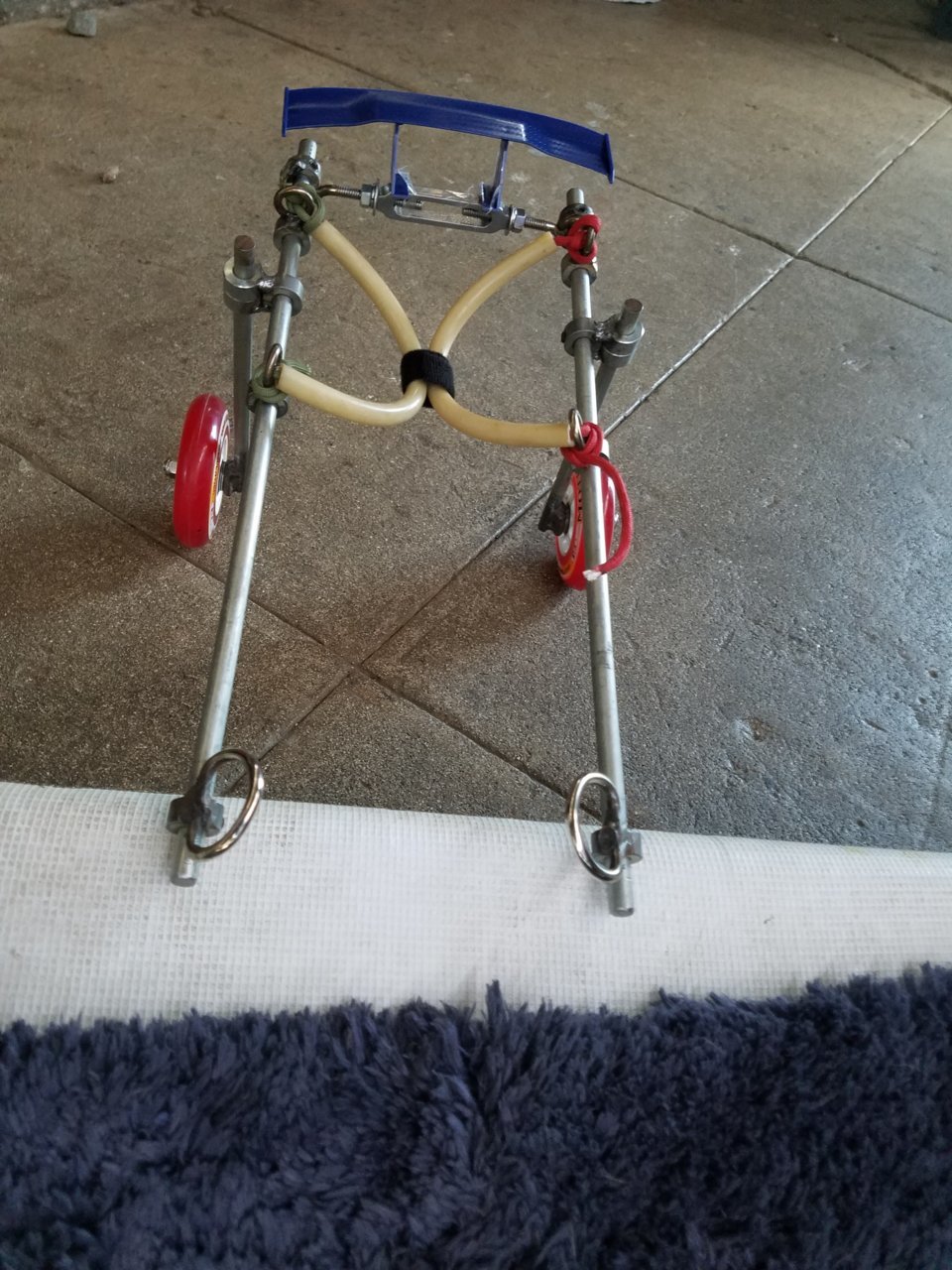 20190419_135518.jpg