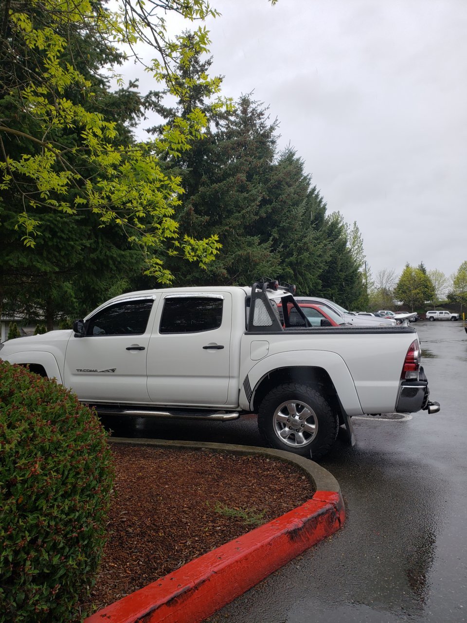 20190419_140125.jpg