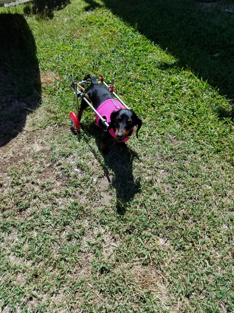 20190419_143448.jpg