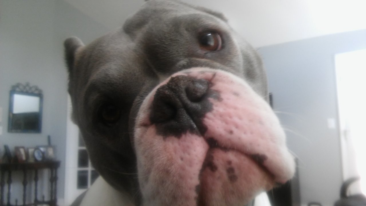20190419_144745.jpg