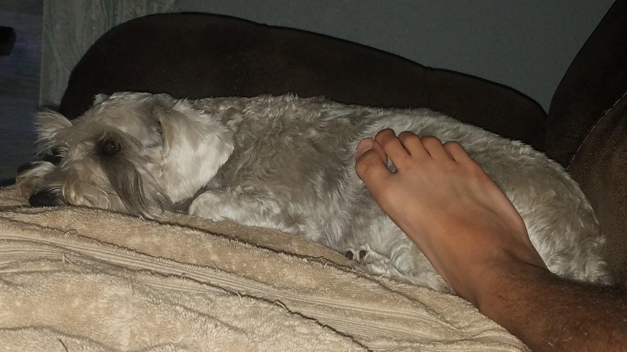 20190419_155715.jpg