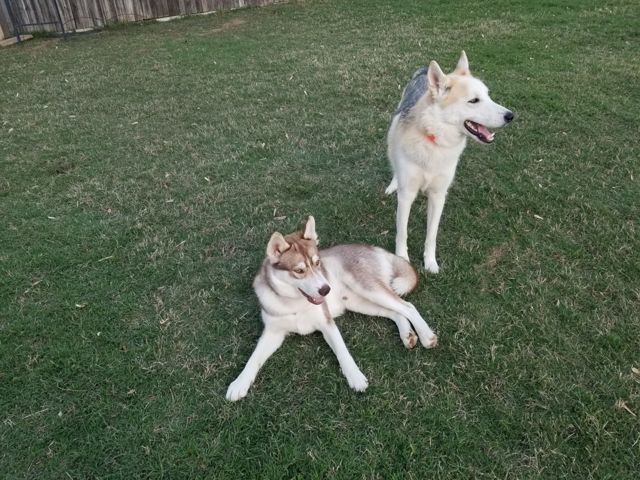 20190419_194037.jpg
