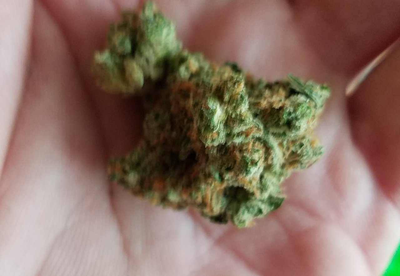 20190420_083223.jpg