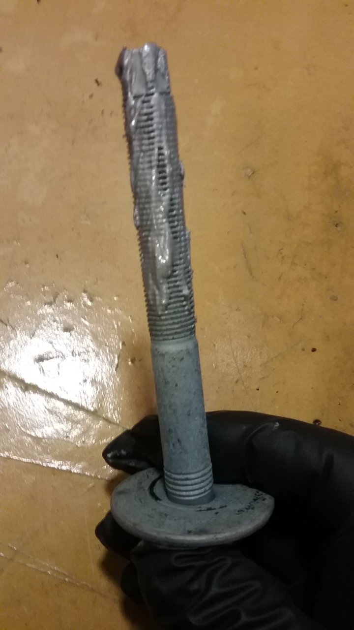 20190420_103932.jpg