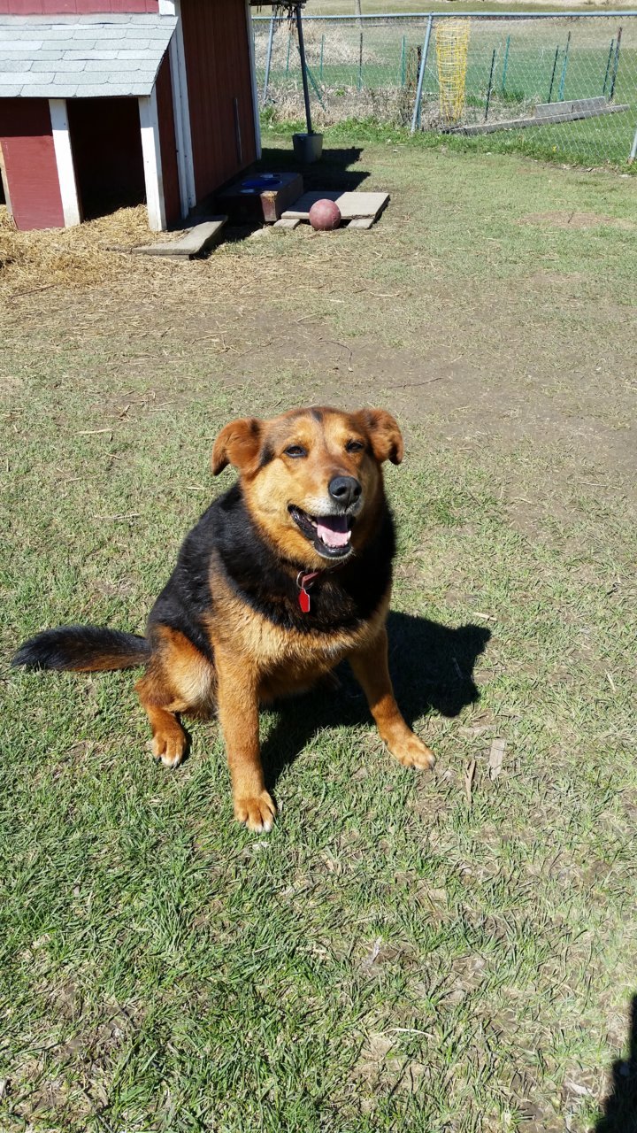 20190420_113933.jpg