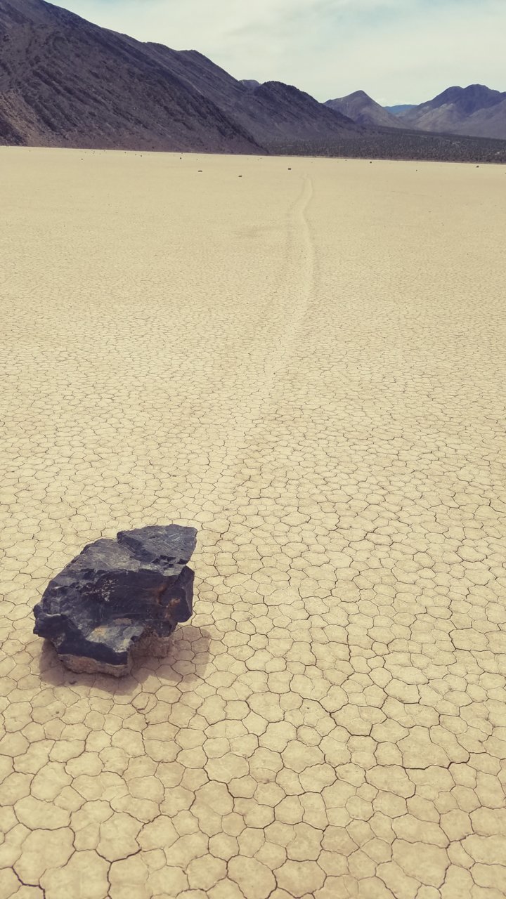 20190420_120853.jpg