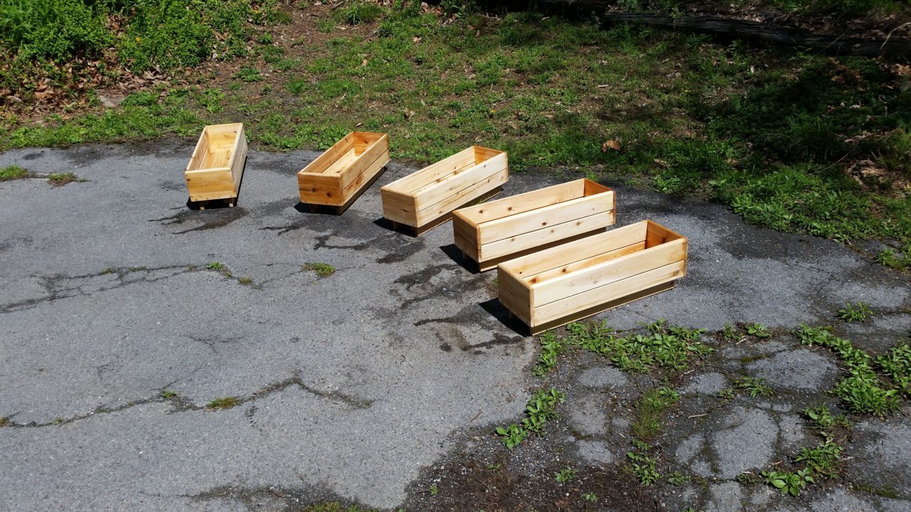 20190420_121025A.jpg