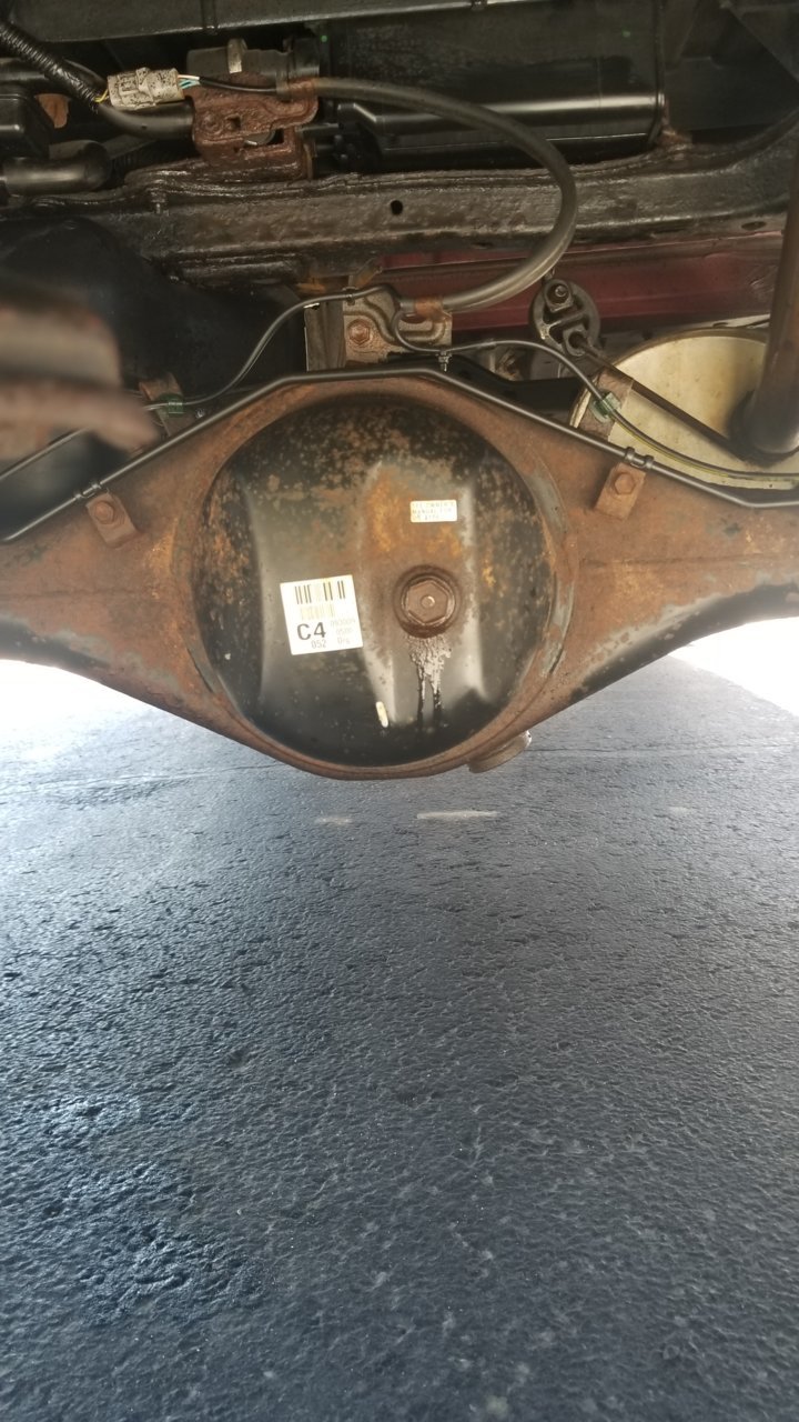 20190420_121223.jpg