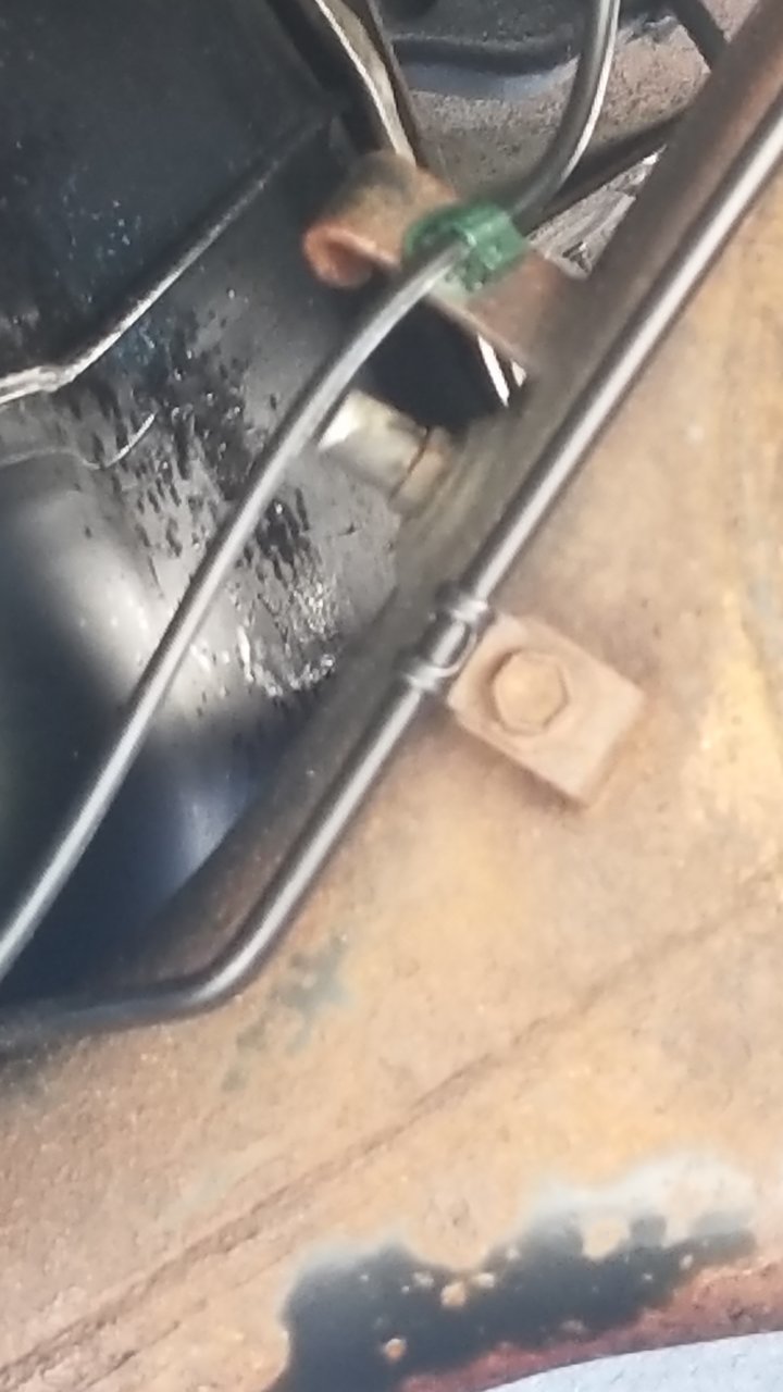 20190420_121232.jpg