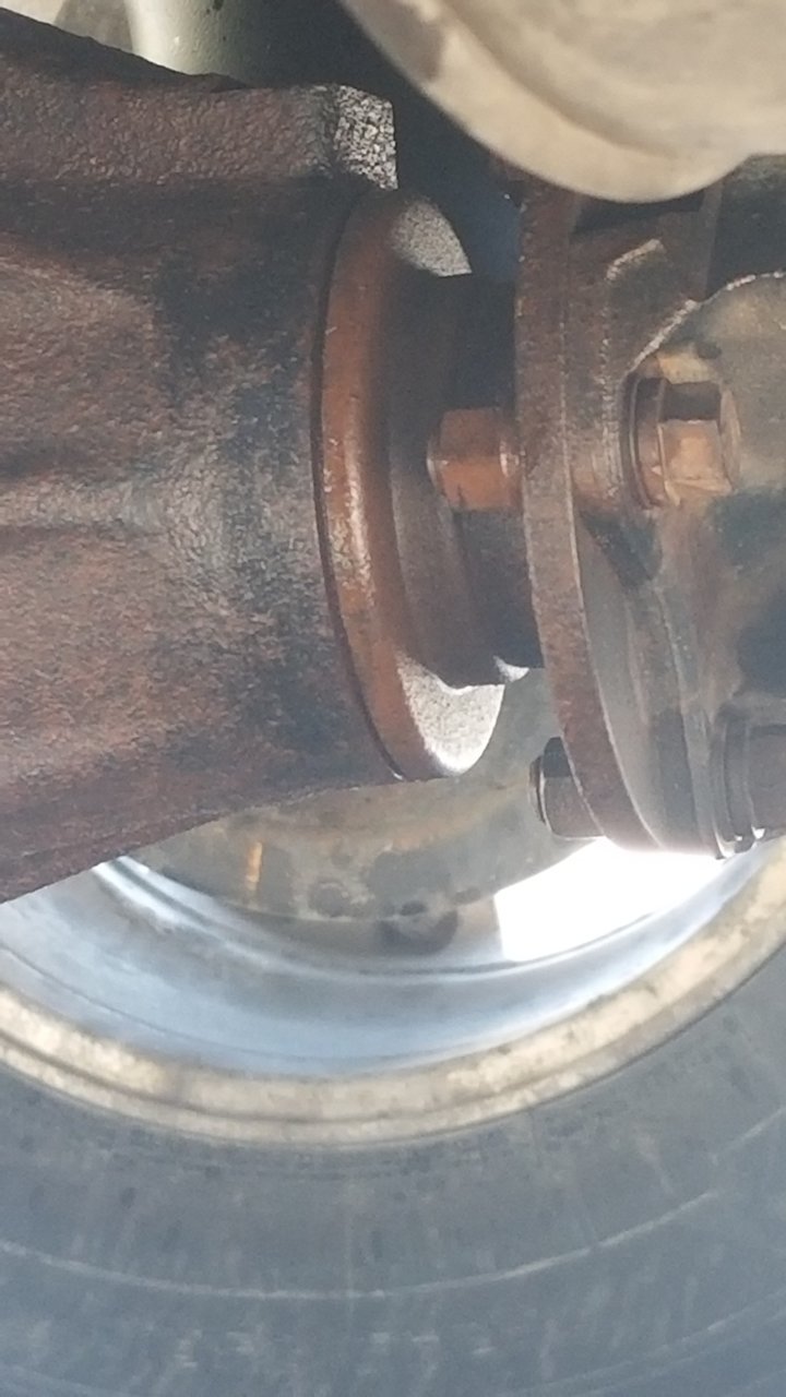 20190420_121249.jpg