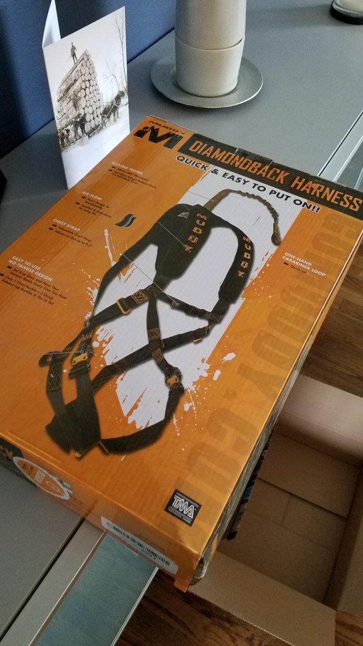 20190420_145506.jpg