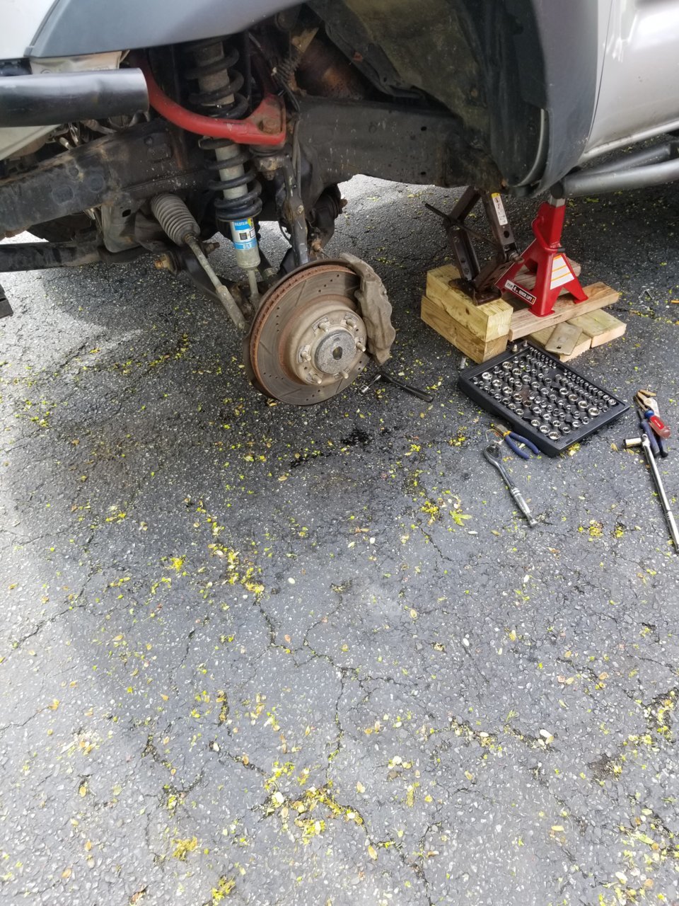 20190420_151441.jpg