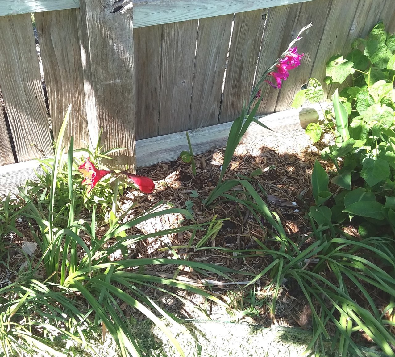 20190420_155145.jpg