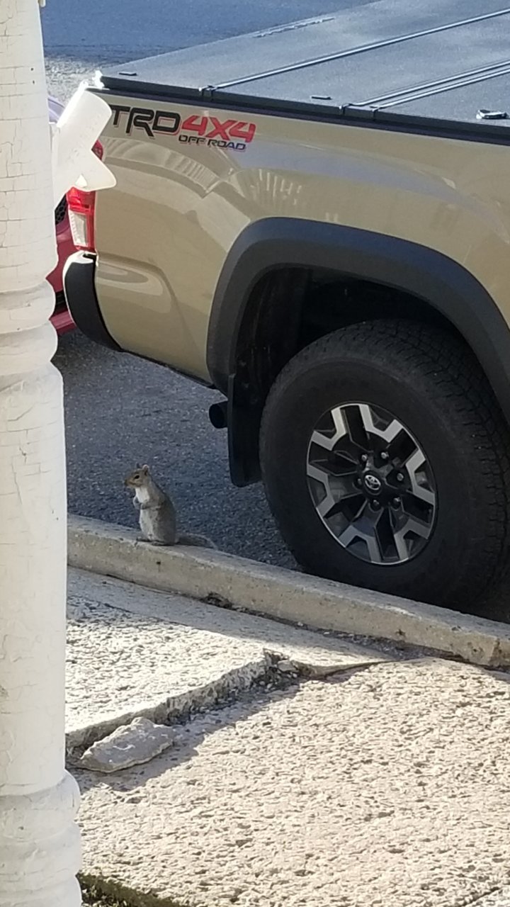 20190420_182410.jpg