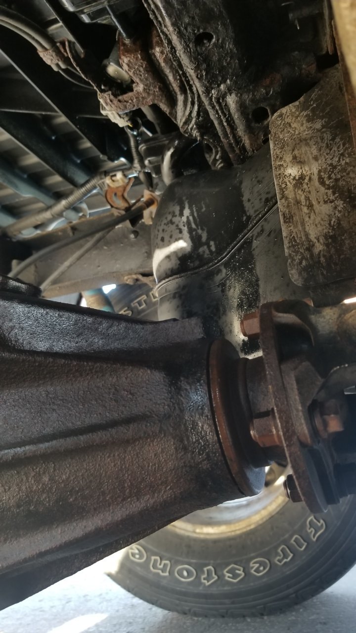 20190421_080826.jpg