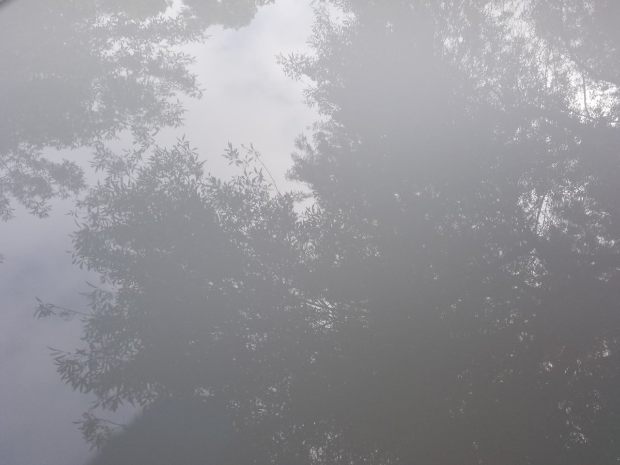 20190421_092807.jpg