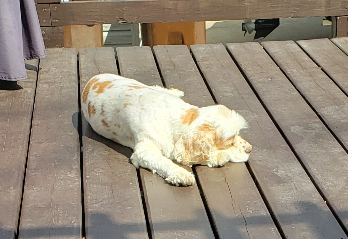 20190421_114935.jpg