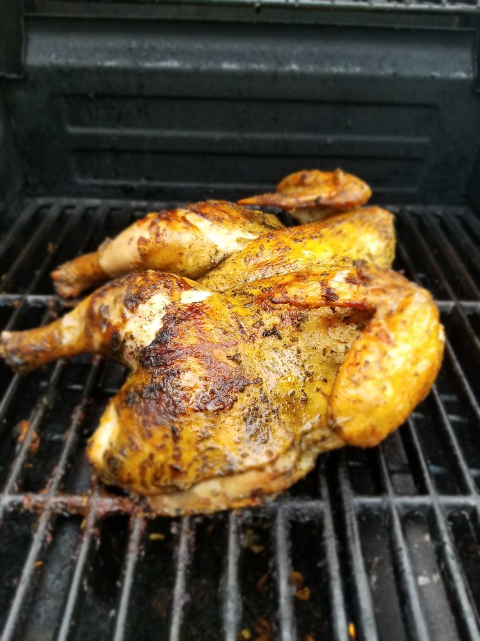 20190421_174821.jpg