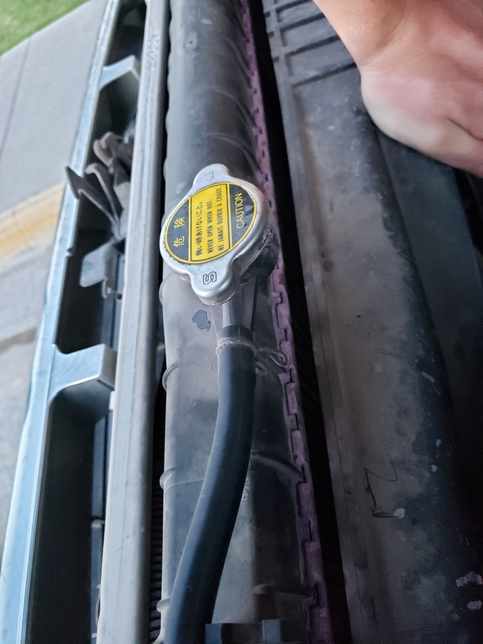 20190421_202913.jpg