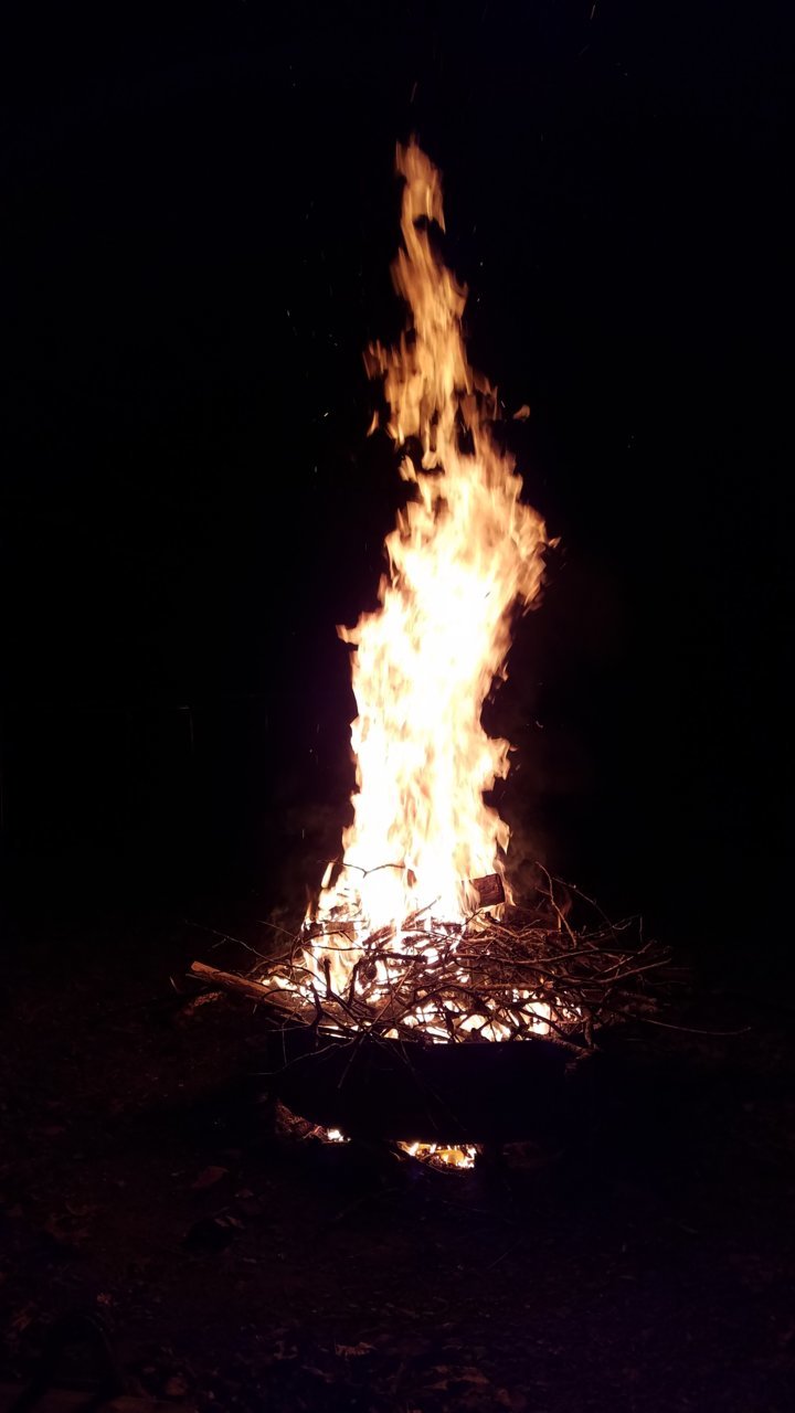 20190421_212749.jpg