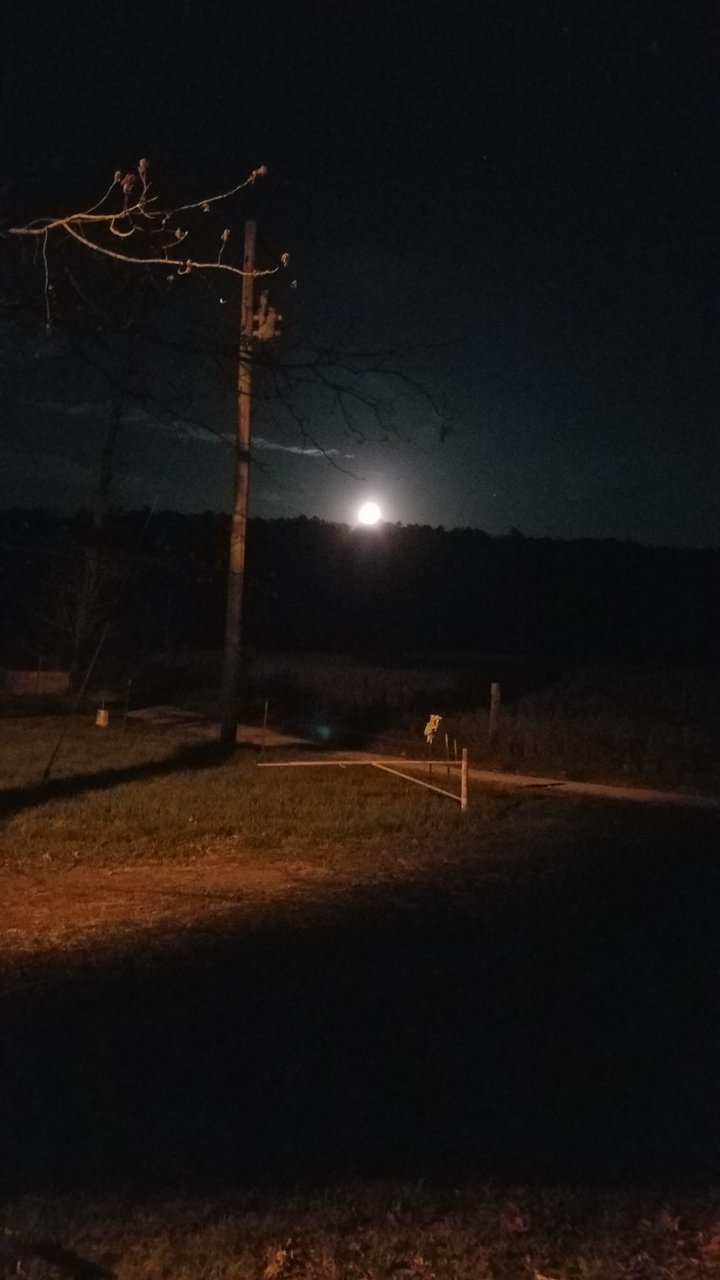 20190421_231340.jpg