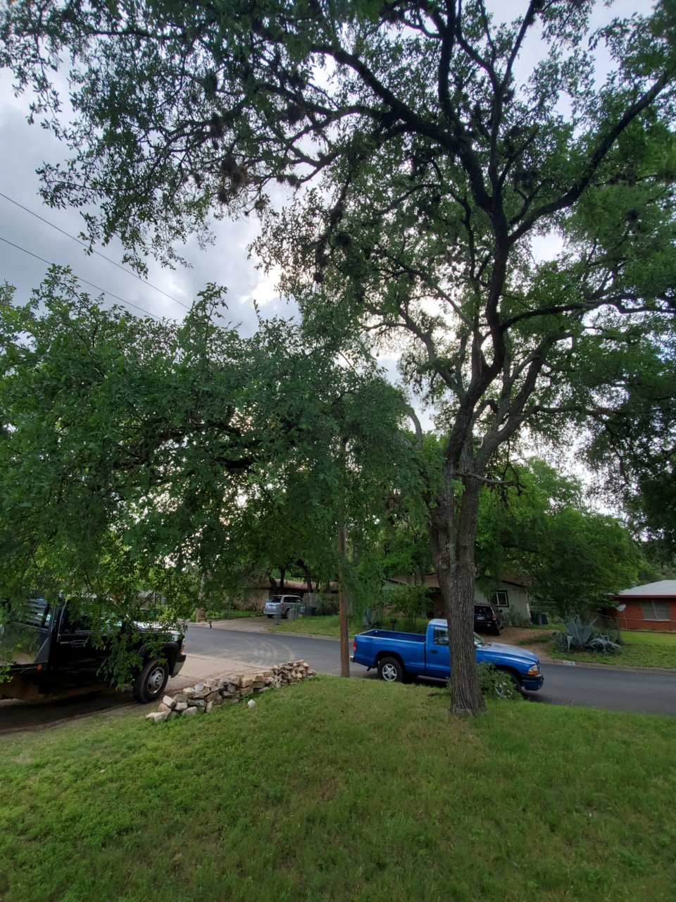20190422_173814.jpg