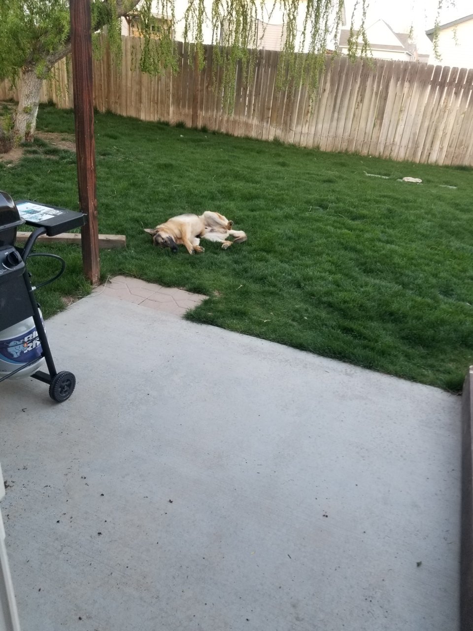 20190422_201634.jpg