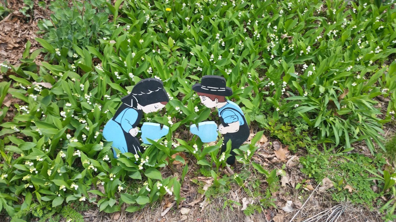 20190423_132344a.jpg