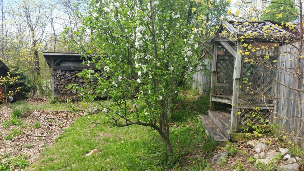 20190423_132455a.jpg