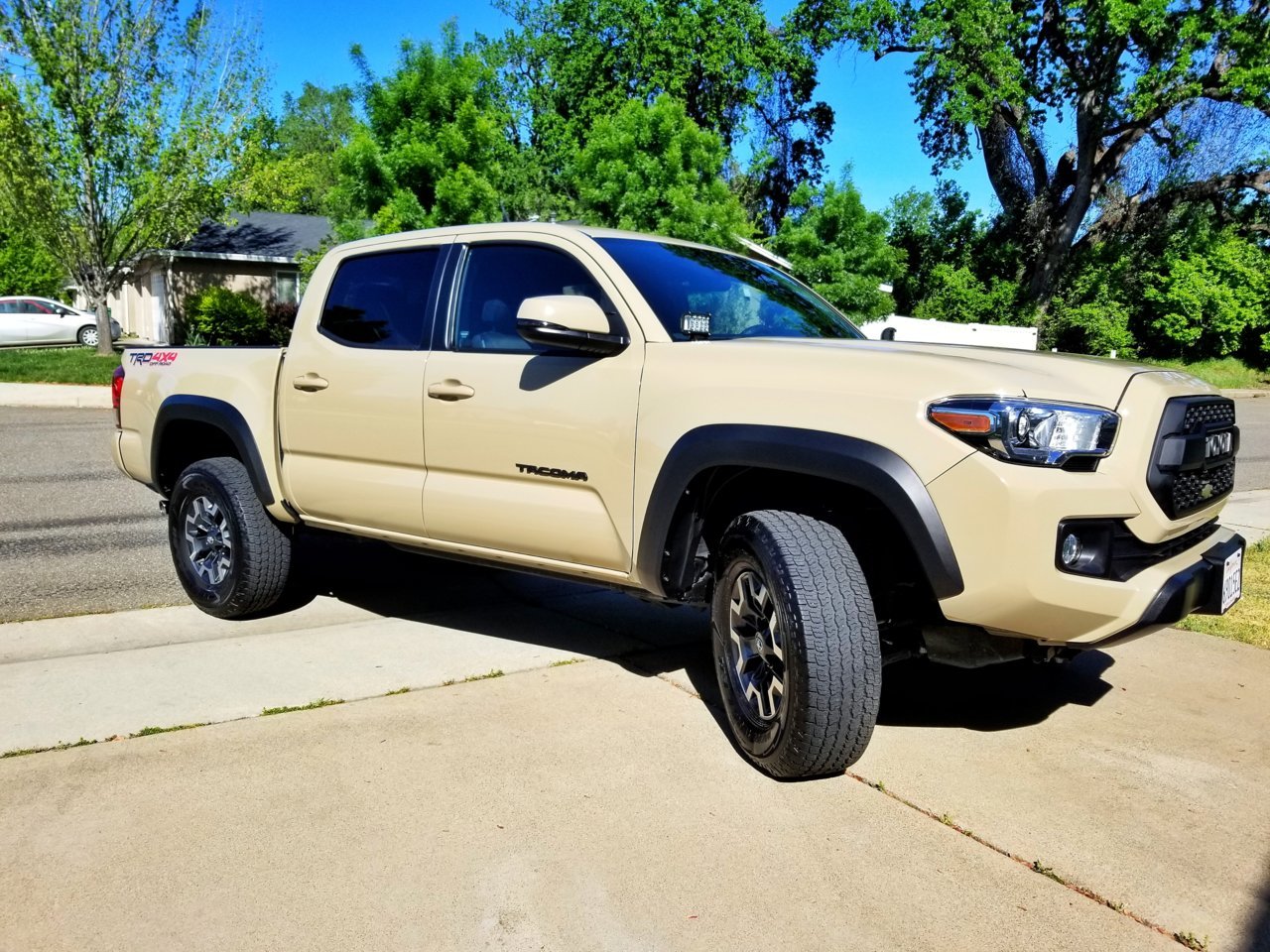 20190423_162013-01.jpg