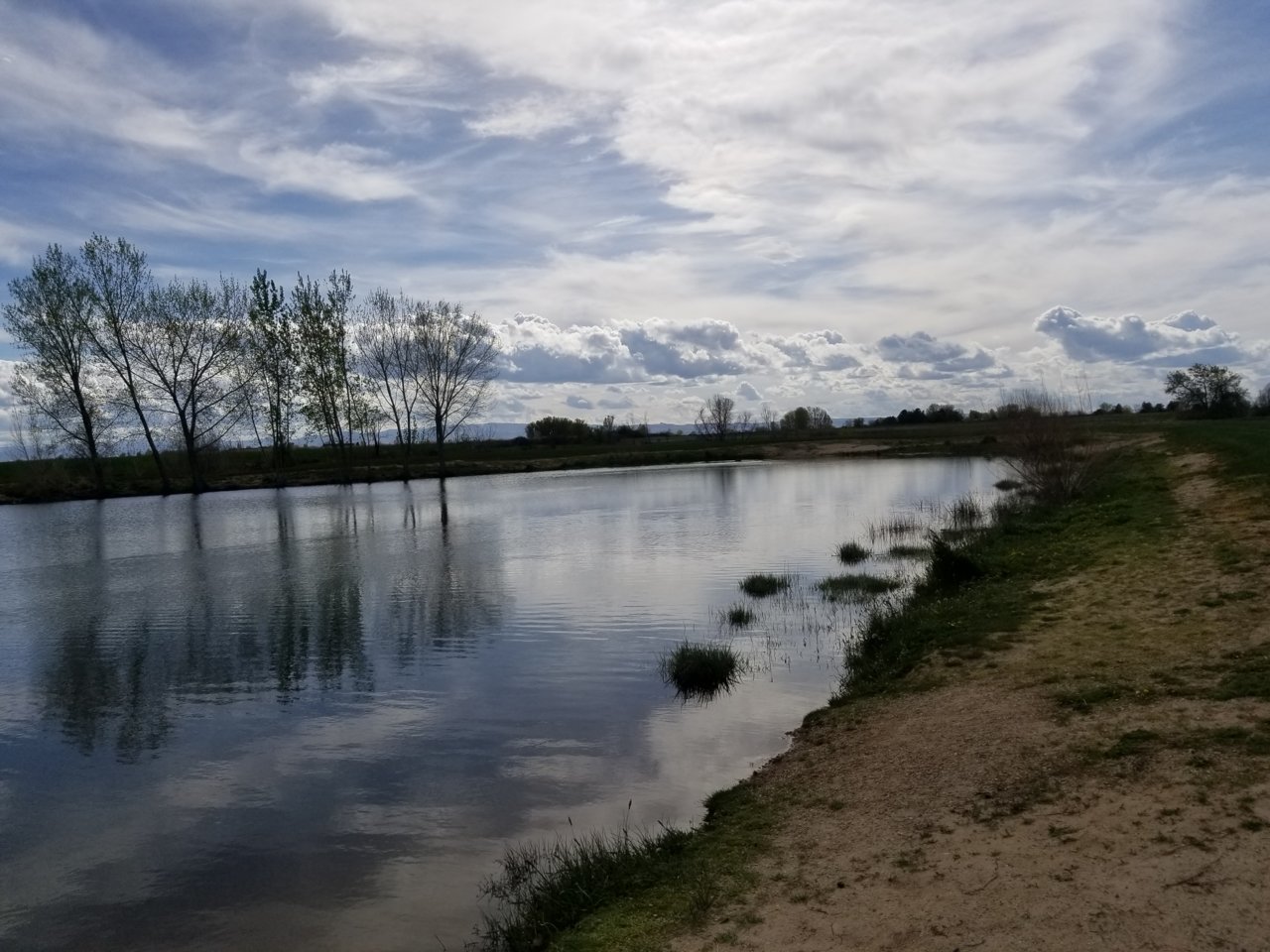 20190423_171512.jpg