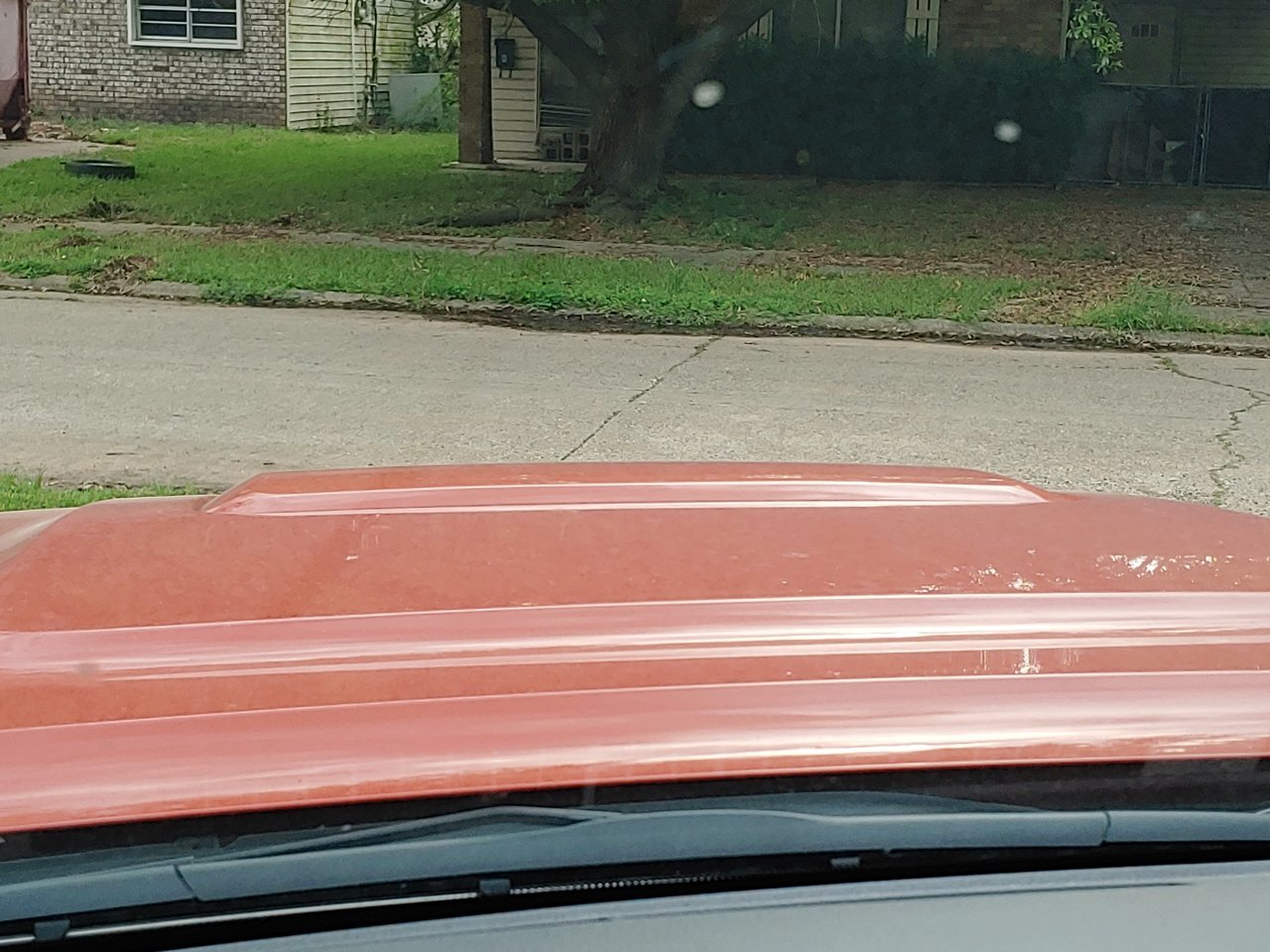 20190423_175312.jpg