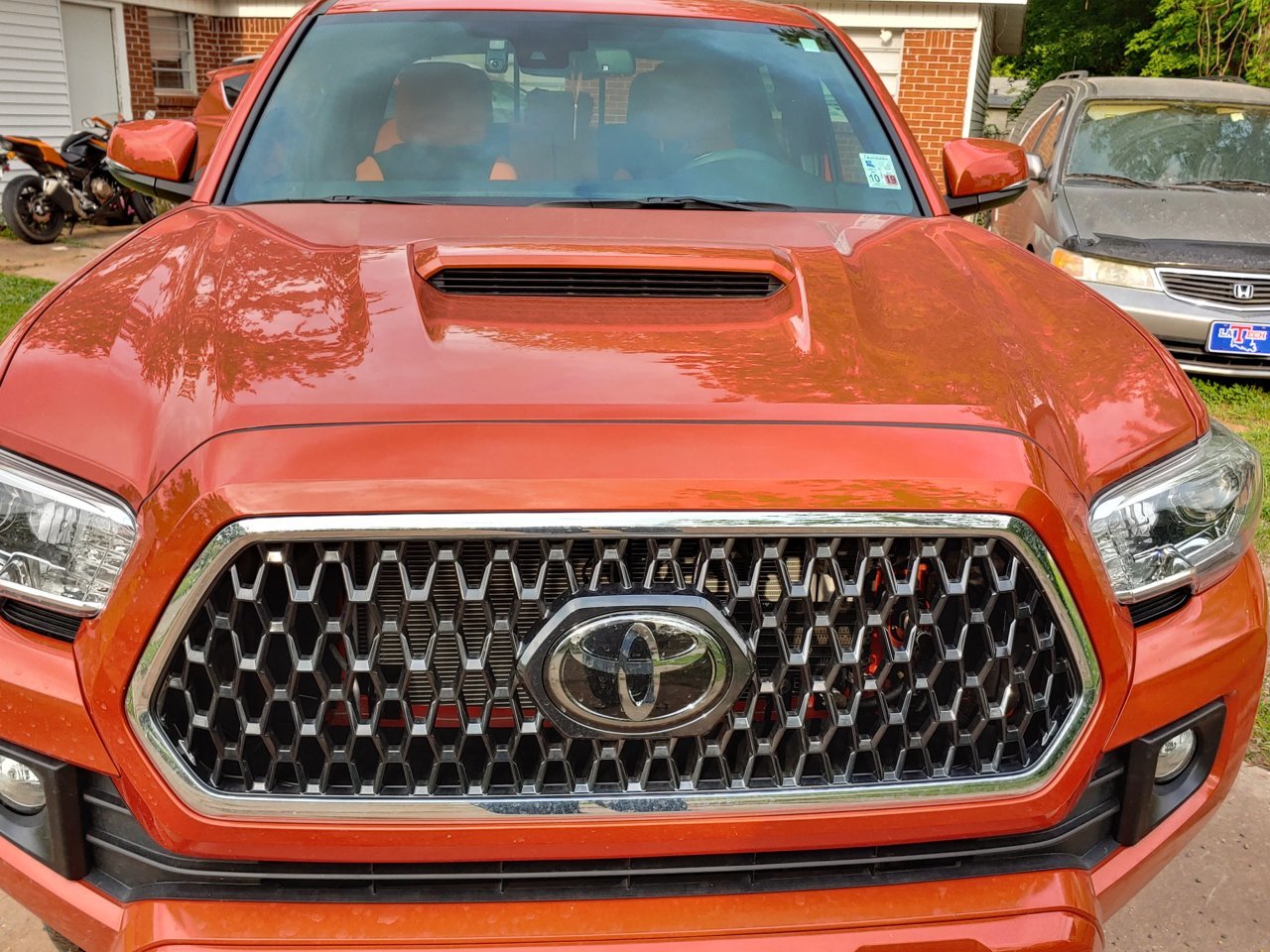 20190423_175520_HDR.jpg