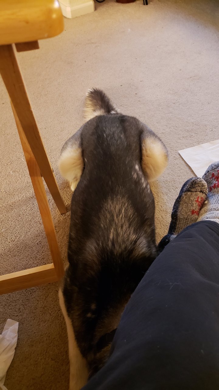 20190423_204717.jpg