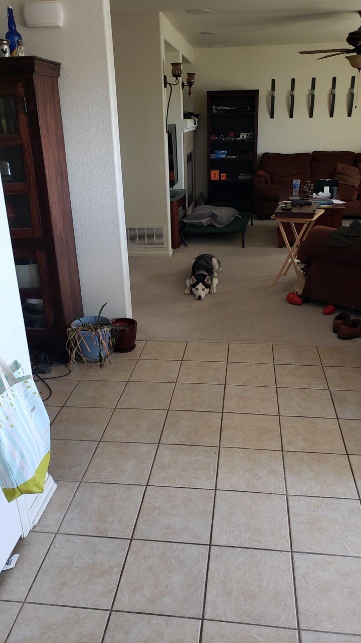 20190424_114434.jpg