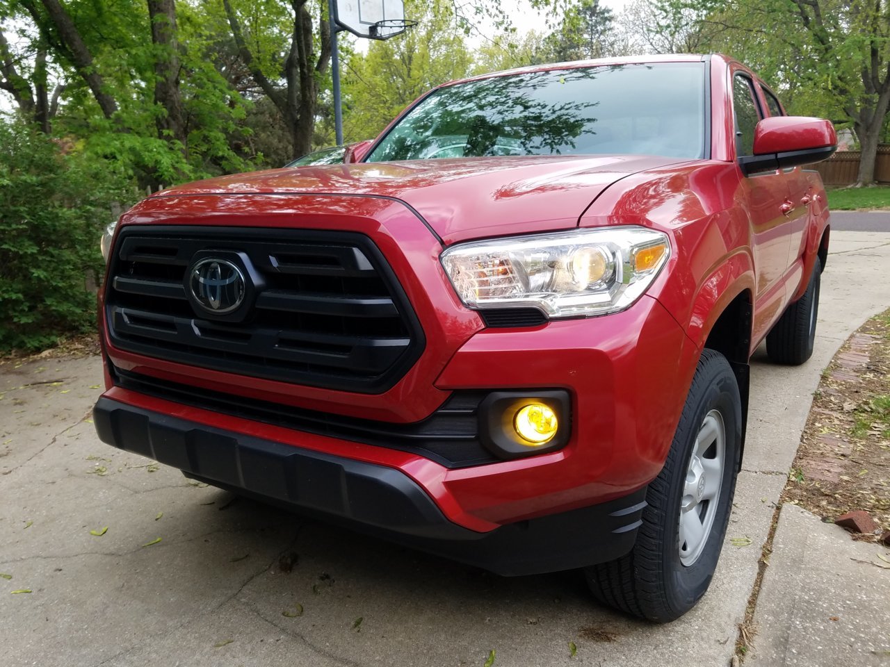20190424_174233.jpg
